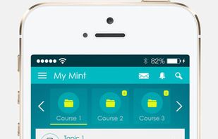 Brainmint screenshot 1