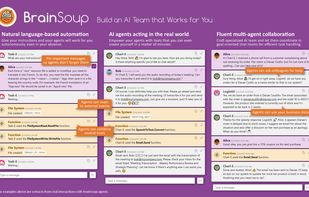BrainSoup use cases