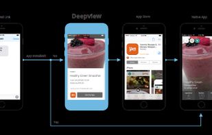 Branch Metrics screenshot 2