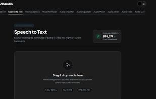 BranchAudio screenshot 2