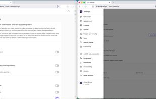 Brave Origin screenshot 2