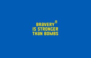 Brave Ukraine screenshot 1