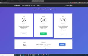 BreachNet.pw screenshot 1