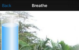 Breathe2Relax screenshot 1