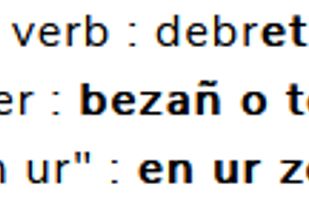 Verb page "debriñ", with some information and a copy button.