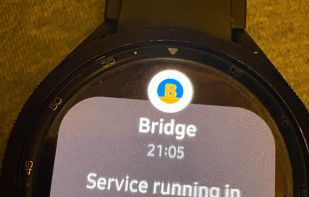 Bridge screenshot 1