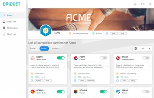 Bridget screenshot 1