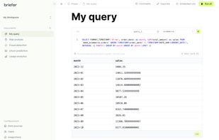 Briefer screenshot 1
