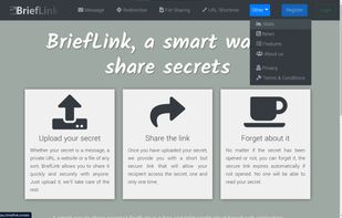 BriefLink has several services for sharing temporary files, text messages or sensitive links.