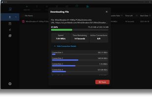 Brisk Download Manager screenshot 1