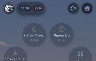 Ask your AI Breathing Coach to find the right technique - or start instantly with Express Relief, Better Sleep, or Power Up.