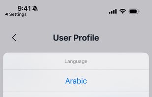 BrokenVPN screenshot 2
