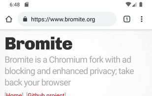 Bromite SystemWebView screenshot 1