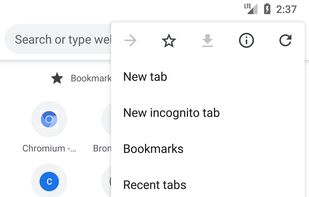 Bromite screenshot 2