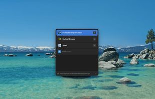 Browseraptor screenshot 1
