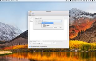 BrowserOpener screenshot 1
