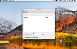 BrowserOpener screenshot 1