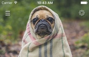 browze screenshot 1