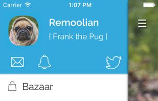 browze screenshot 1
