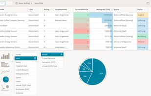 BSI CRM screenshot 2