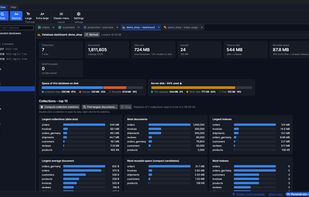Database dashboard: size on disk, largest collections and indexes, reusable space and server disk at a glance.