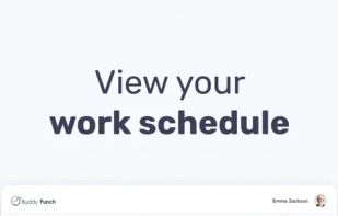 Buddy Punch screenshot 2