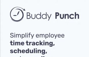 Buddy Punch screenshot 1