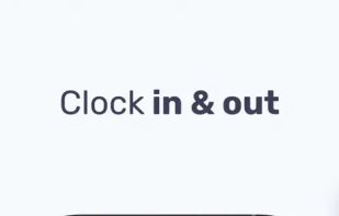 Buddy Punch screenshot 1