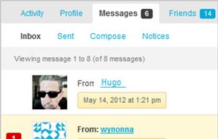 BuddyPress screenshot 1