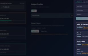 Budget Canvas screenshot 2