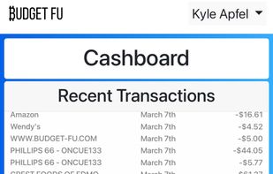 Budget Fu screenshot 3