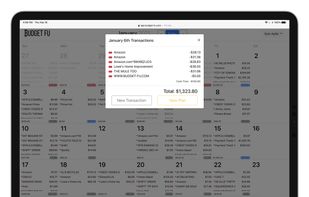 Budget Fu screenshot 2