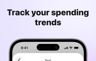 Budget Hound screenshot 2