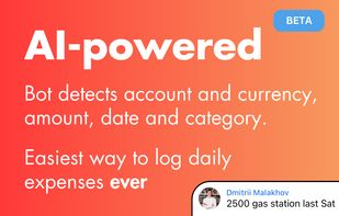 Budget Vision screenshot 1