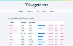 Budget categories overview