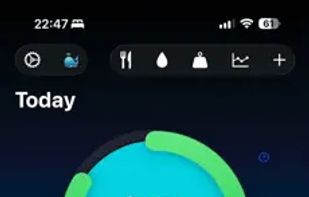Budgie Diet screenshot 1