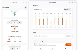 BudsLink screenshot 1