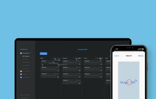 Bugbattle screenshot 2