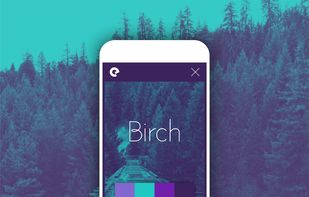 BrandBuilder screenshot 3