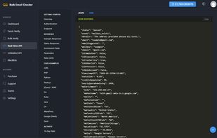 Real-time API documentation showing a JSON response with mailbox status, disposable, role account, gibberish, and free service flags, plus the full MX enrichment block. Code examples are provided for cURL, PHP, Python, Node.js, Go, Ruby, Java, C#, WordPress, Google Sheets, and Excel.