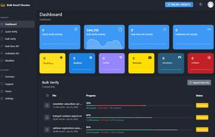 Account dashboard showing verification activity across Quick Verify, Bulk Verify, real-time API, and Unlimited API, with connected ESP integrations and in-progress bulk list results.