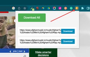 Bulk File Downloader screenshot 2