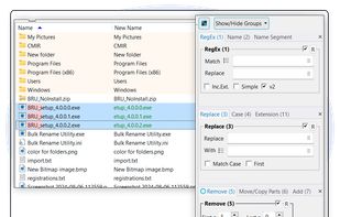 Bulk Rename Utility screenshot 1
