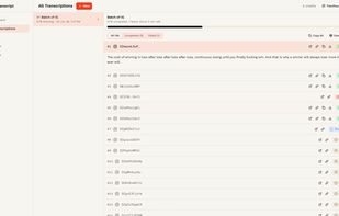 Bulk Transcript screenshot 2