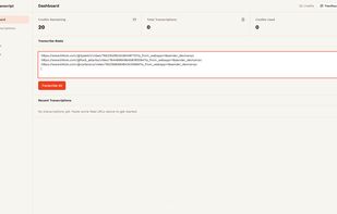 Bulk Transcript screenshot 1