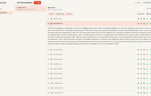 Bulk Transcript screenshot 1