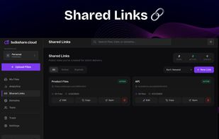 BulkShare.cloud screenshot 2