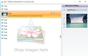 Batch List that contains all images that are getting watermarked