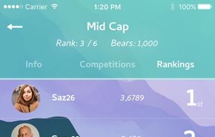 Bullbear screenshot 1