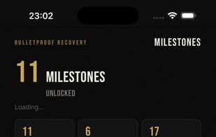 Bulletproof Recovery screenshot 2